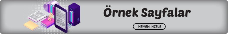 Örnek Sayfa